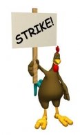 Image result for chickens on strike