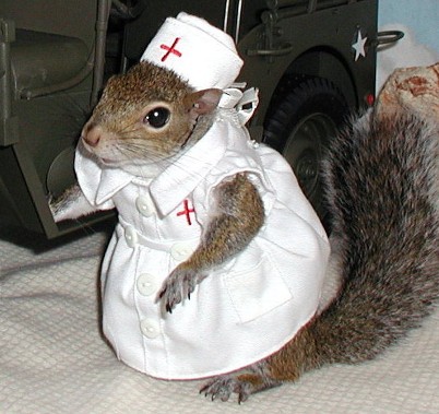 nursesquirrel.jpg
