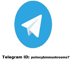 telegram_msfb - psilocybinshroomshop.jpg