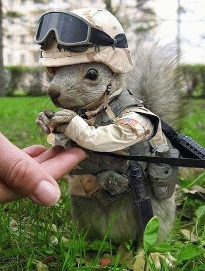 Super Squirrel.jpg