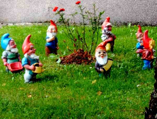7_garden_gnomes.jpg