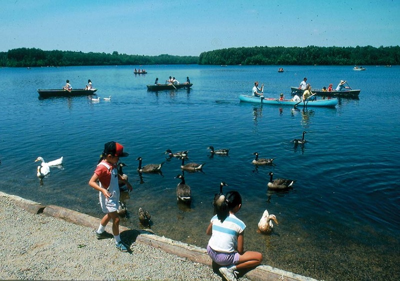 burke lake 1963.jpg