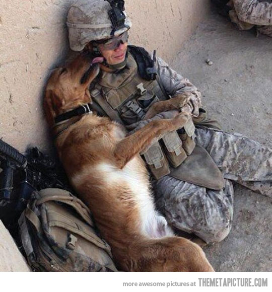 soldiers-best-friends.jpg