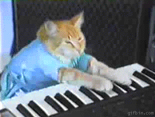 piano-kitten.gif