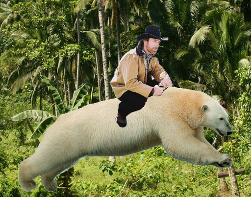 Chuck Norris Riding A Polar Bear.jpg