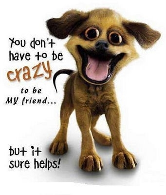 crazy_friend-13241.bmp