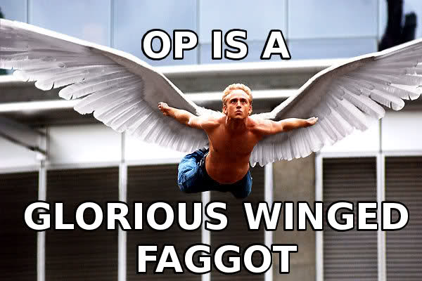 op is a glorious winged faggot.jpg