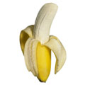 bananacock.jpg