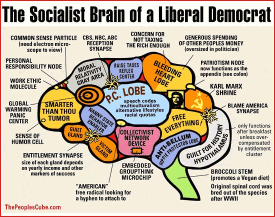 Liberal_Brain.jpg