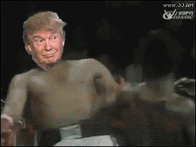Donald-Trump-CNN-punching-dodges.gif