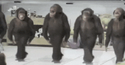 dancing monkeys.gif