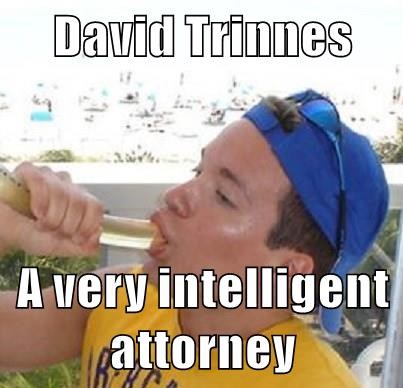 trinnes lawyer (1).jpg