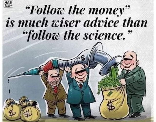 covid - follow the money.jpeg