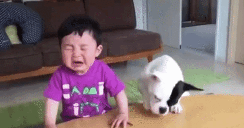 baby crying dog.gif