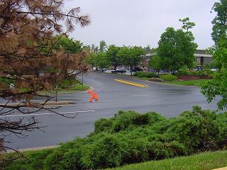 DSC00057_thumb.JPG